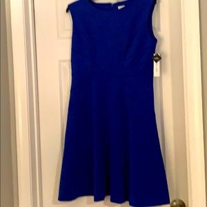 Sandra Darren dress